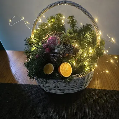 Harmonia Alchemika 2 Lazienki Bus