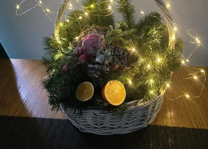 Harmonia Alchemika 2 Lazienki Bus